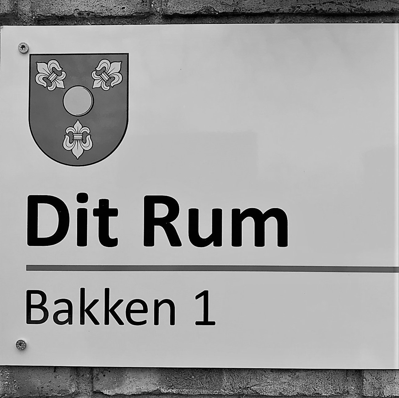 bakkenNY